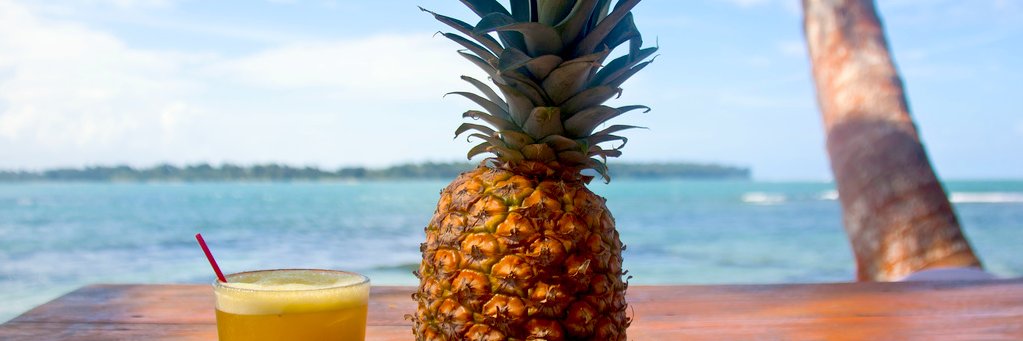 PR Pineapple 🇵🇷 🍍 banner