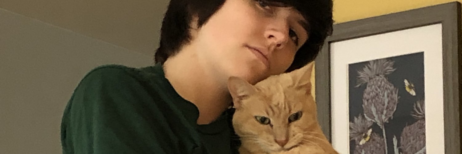 keylimeseemfine's profile banner image