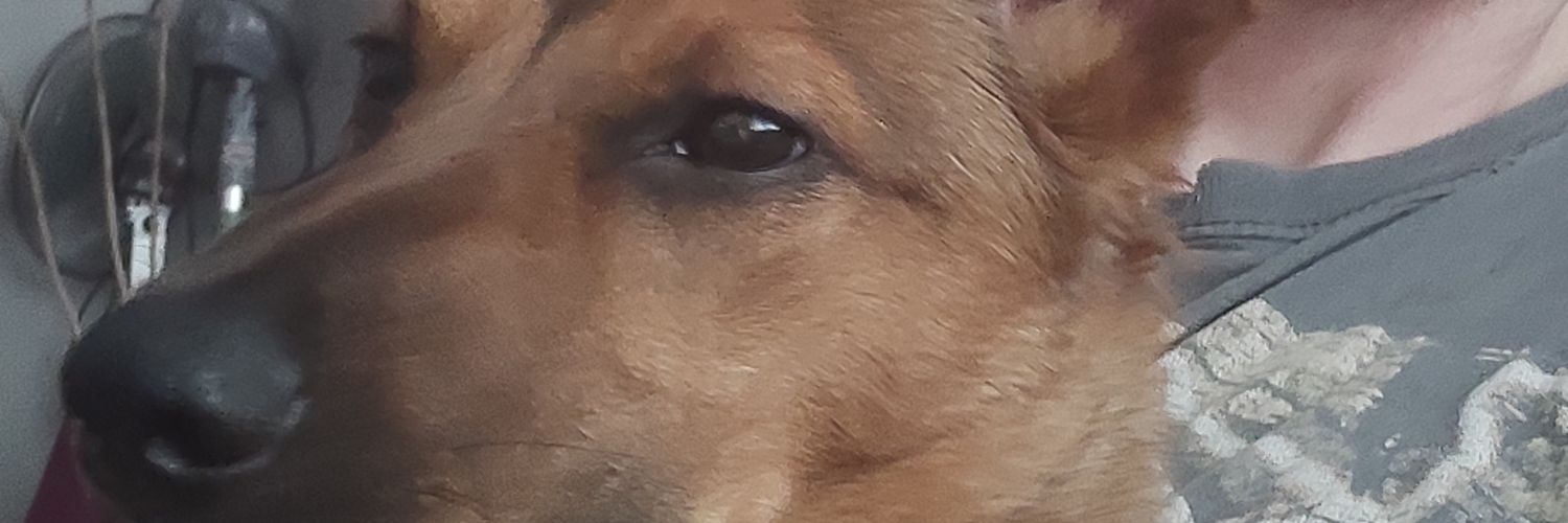 holtr16's profile banner image