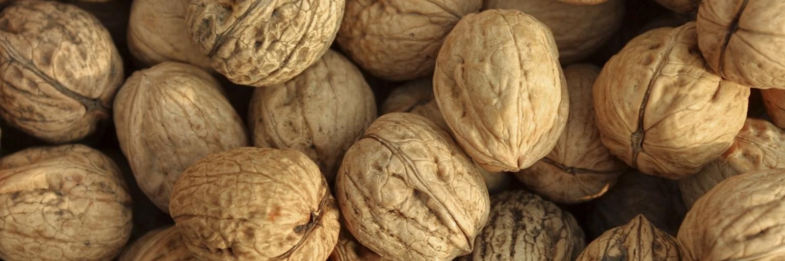 NuclearWalnut banner