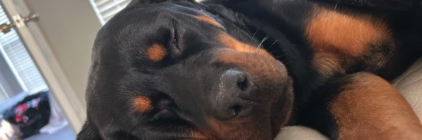 _jacobbb1 Profile Banner