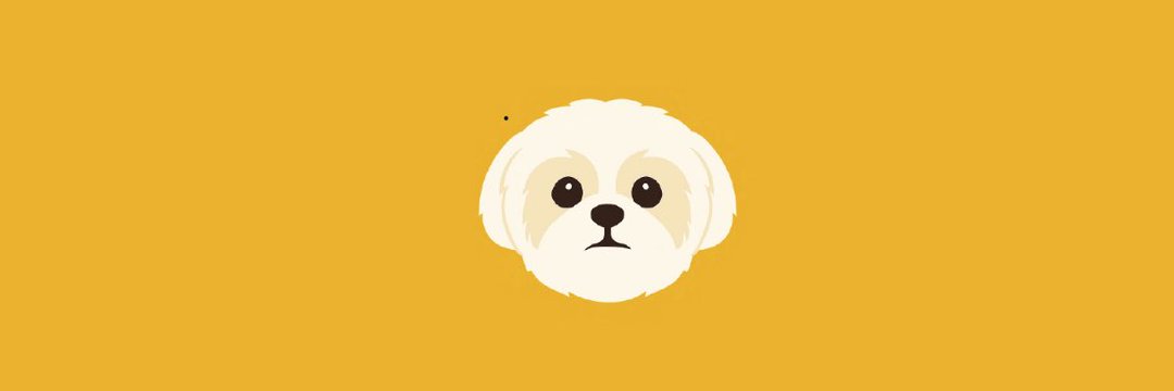 Shih Tzu | CТО banner