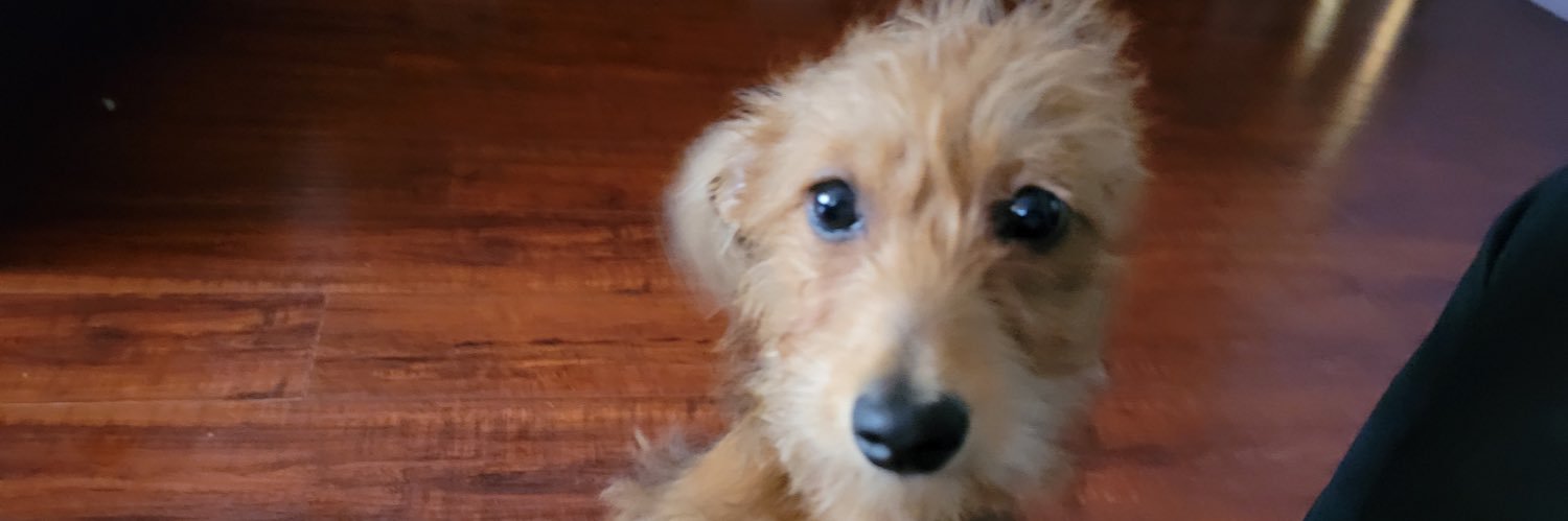 Lito ☀️ banner