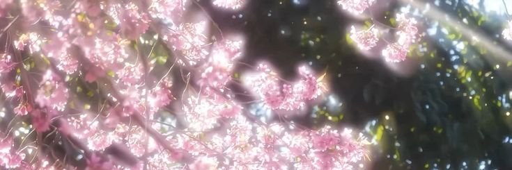 bunn3izz's profile banner image