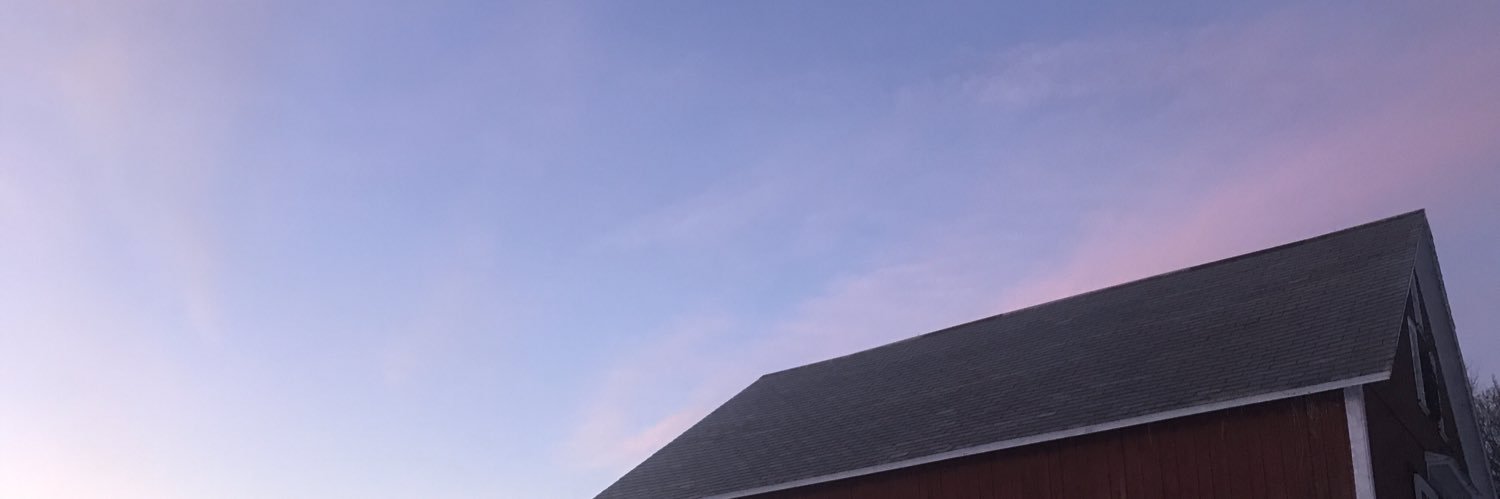 sarahconlisk's profile banner image