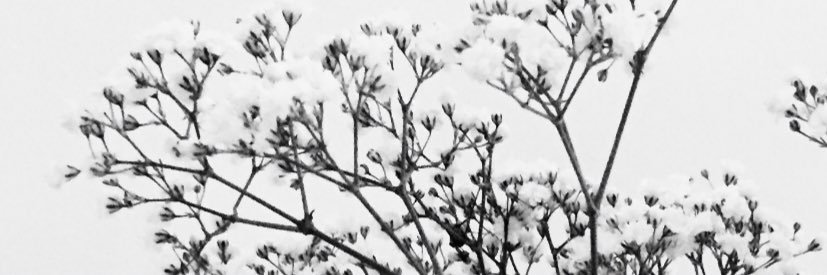 JMargaret6's profile banner image