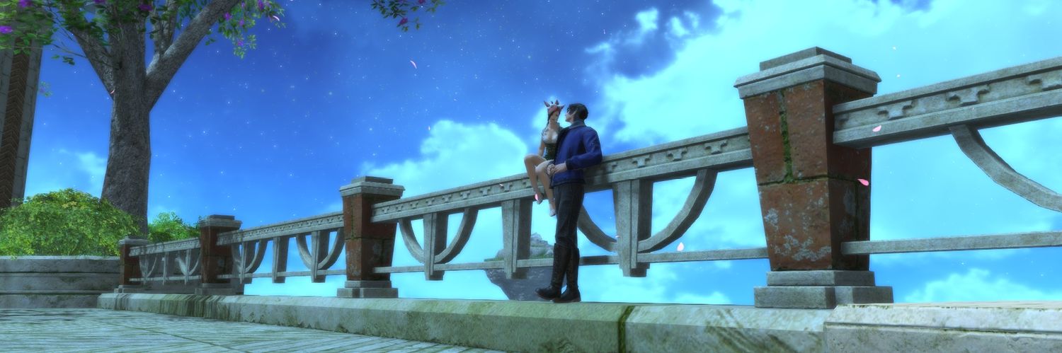LizAnneCraig's profile banner image