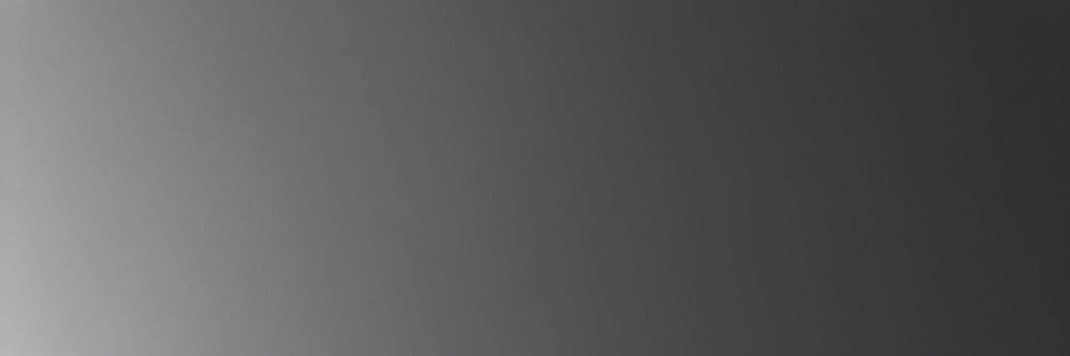 sariengels's profile banner image