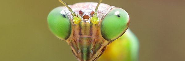 ecologypost Profile Banner