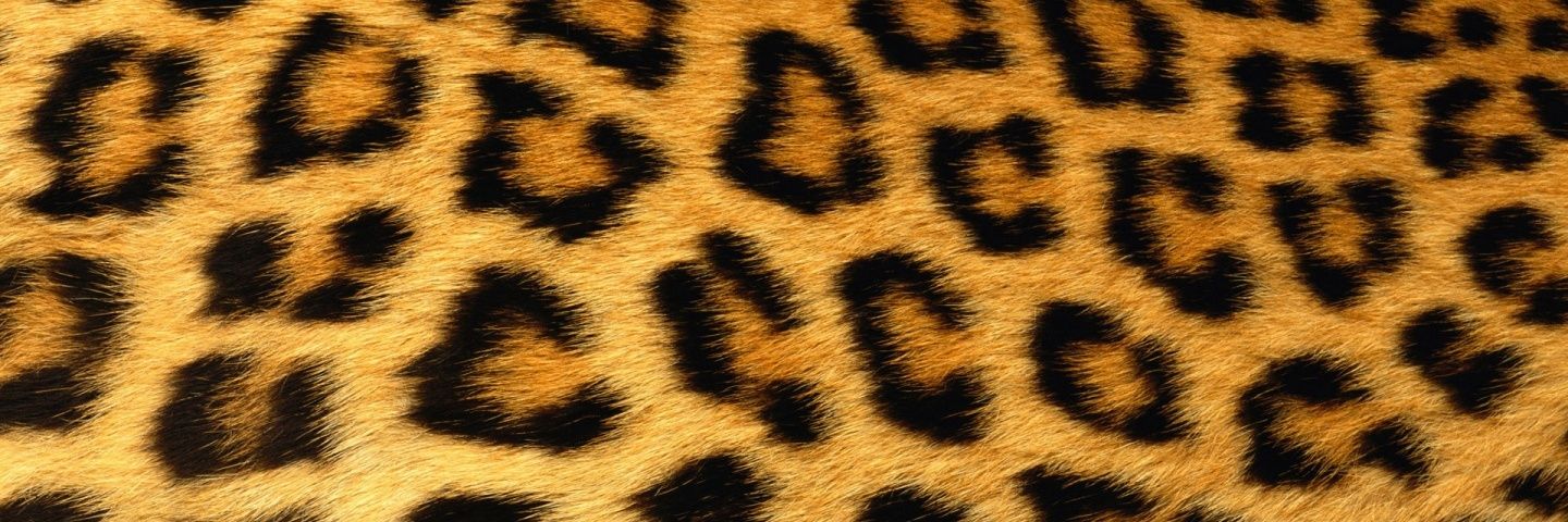 laskreatures's profile banner image
