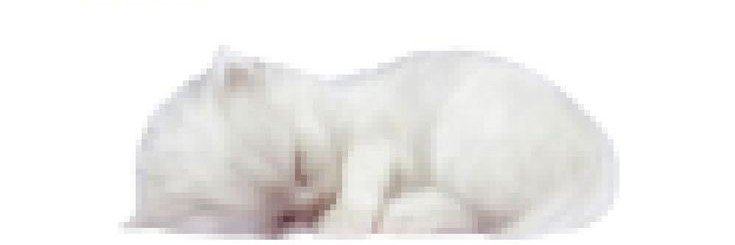 consteladita's profile banner image