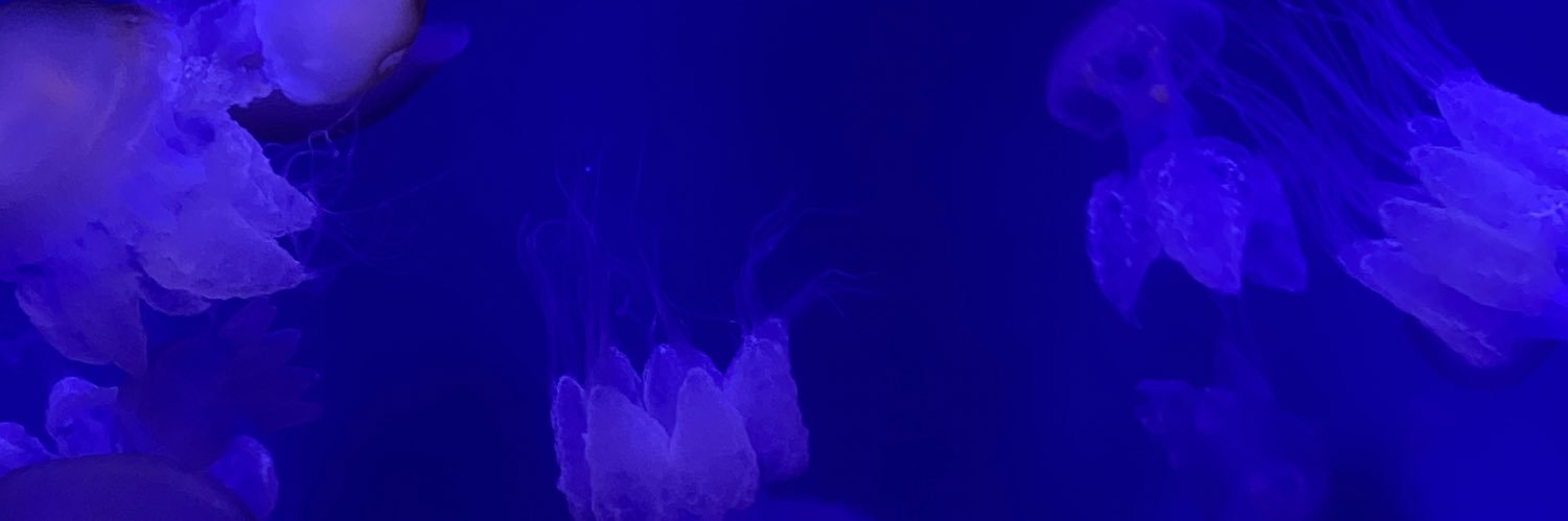 mirandixgf's profile banner image