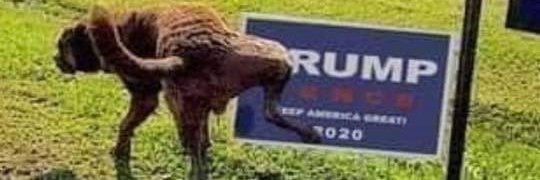 ColoradoMan10's profile banner image