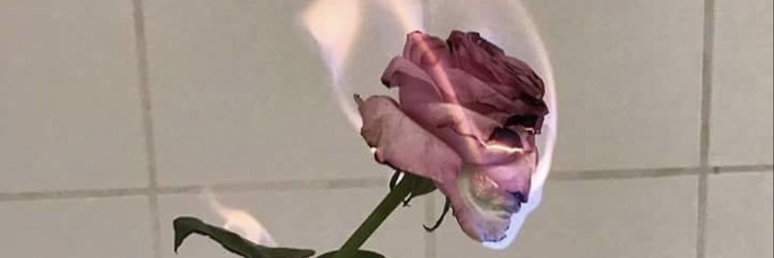 RAZORISDEAD's profile banner image