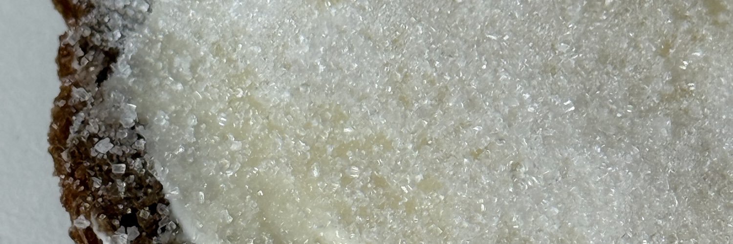 pleadingplastic's profile banner image