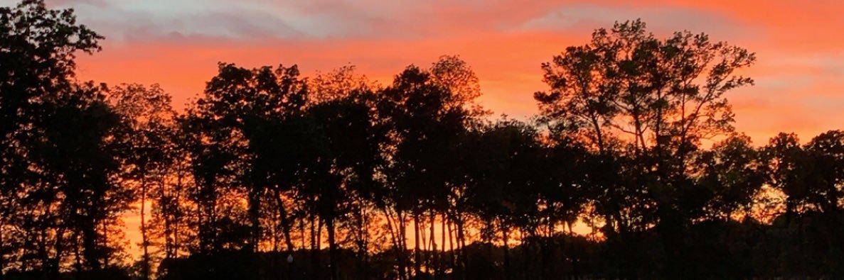 marycaston3's profile banner image