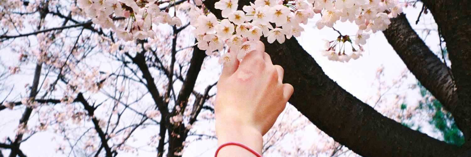 yurbeloved's profile banner image