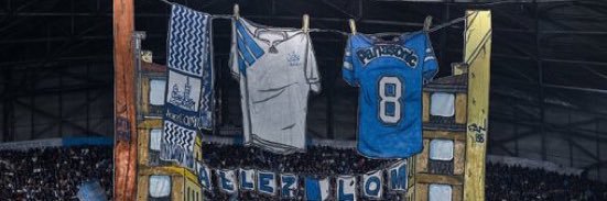 🐘⭐️⭐️⭐️… banner