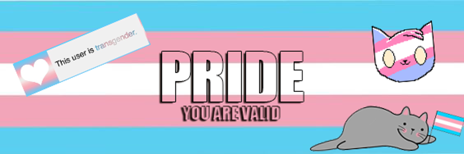 YAV - You Are Valid 🏳️‍⚧️ Profile Banner