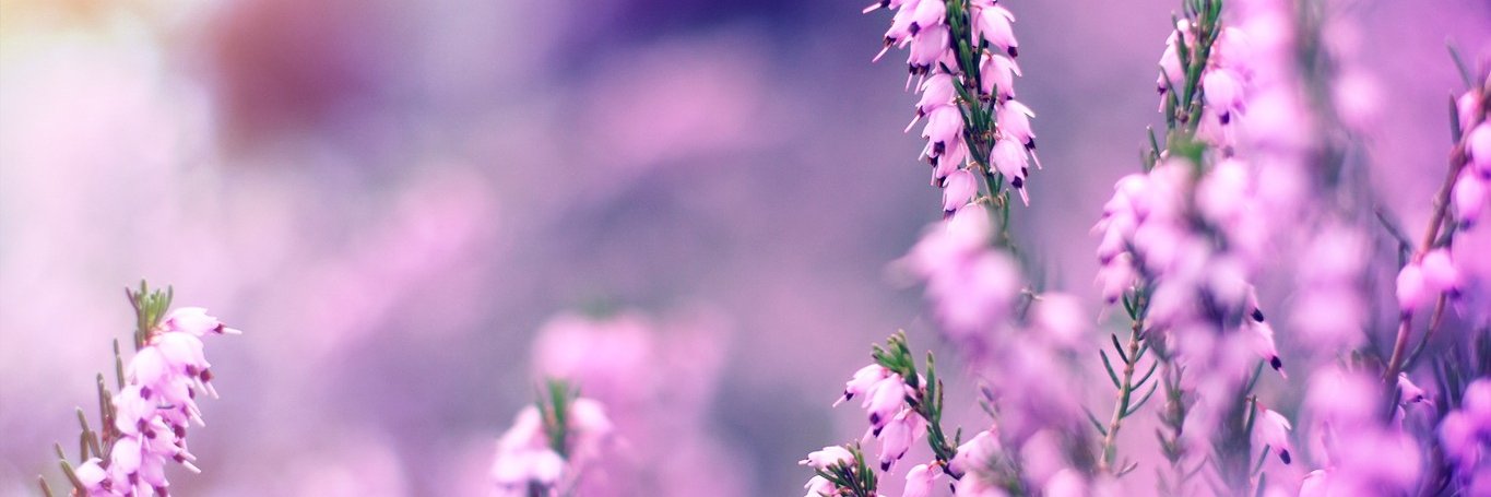 minzimpression's profile banner image
