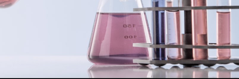 Maggie Prendergast, Ph.D. banner