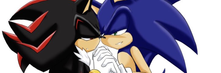 ParodySonic's profile banner image