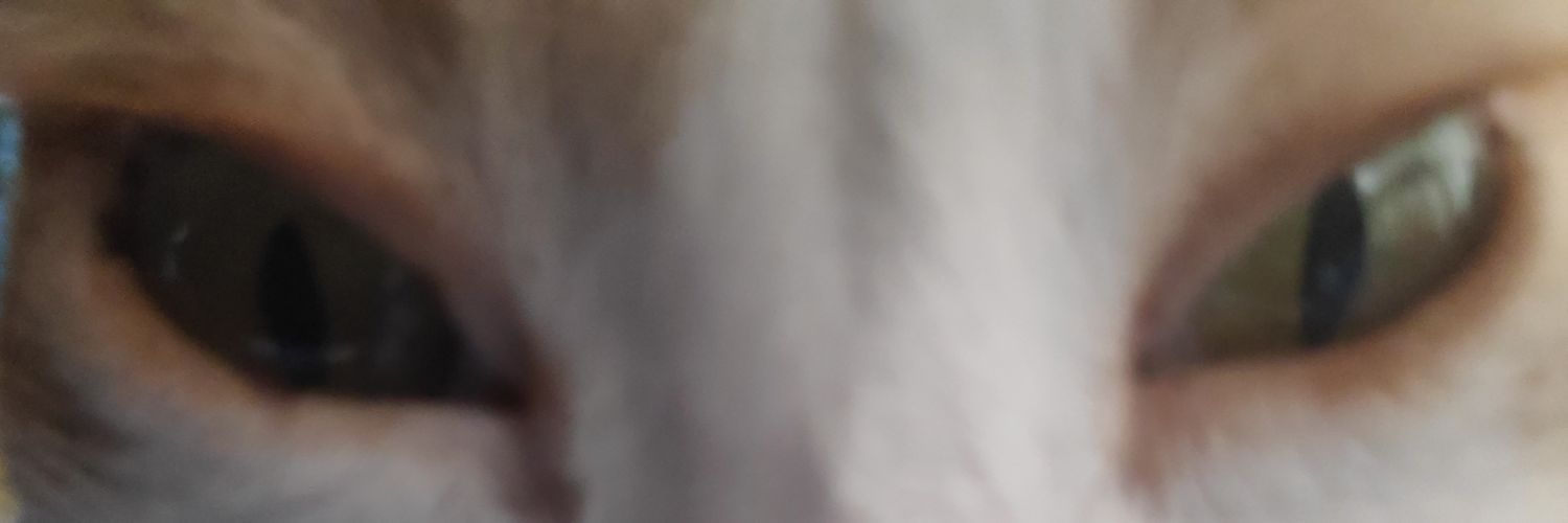 BruXD154 🇨🇱 banner