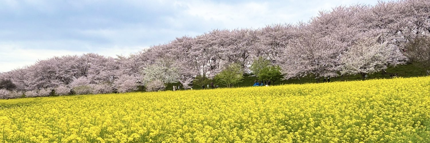 kurachansato's profile banner image