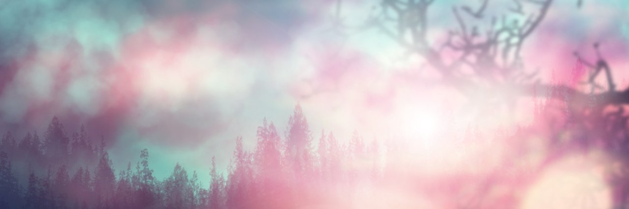 ScribbleBoxFox banner