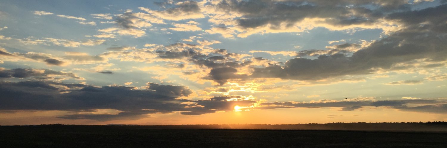 lovdaveeee's profile banner image