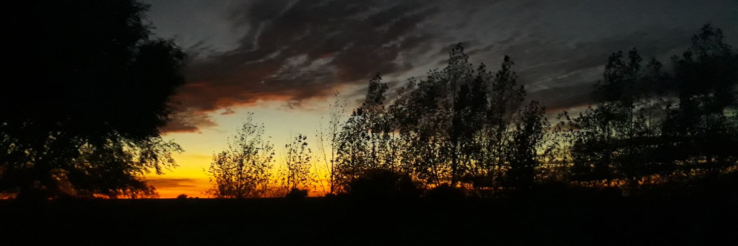 FlorLucero1622's profile banner image