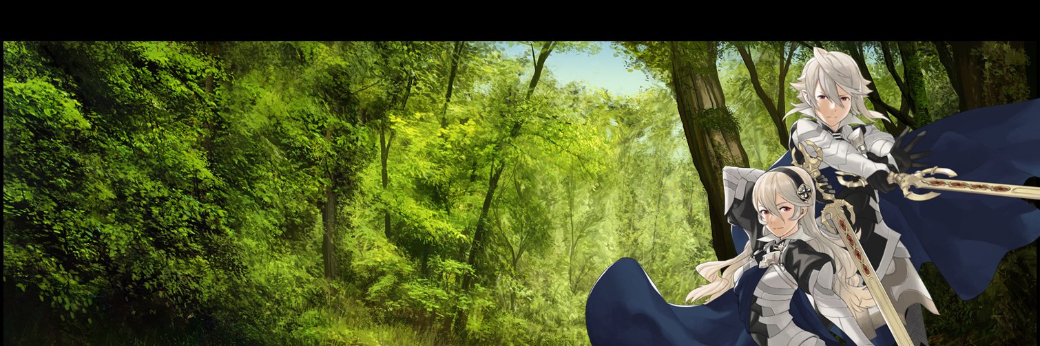 Raknarrok's profile banner image