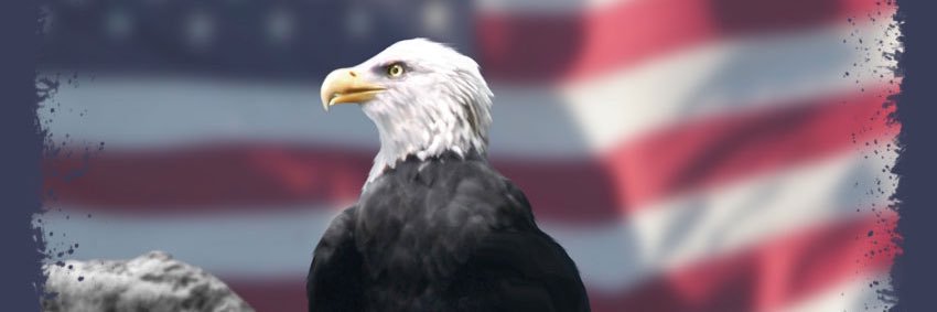 BobKoss's profile banner image