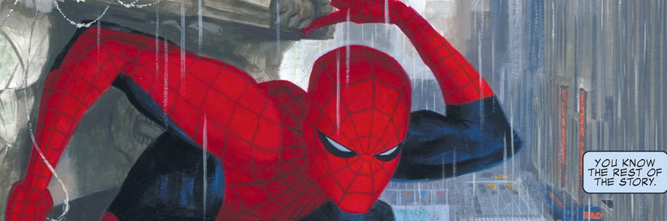 Splendidnothings🫧 banner