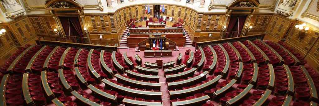 Learning Disability Senate banner