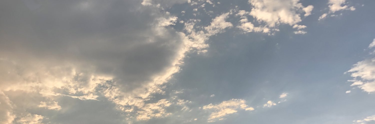 joelfanaccont's profile banner image