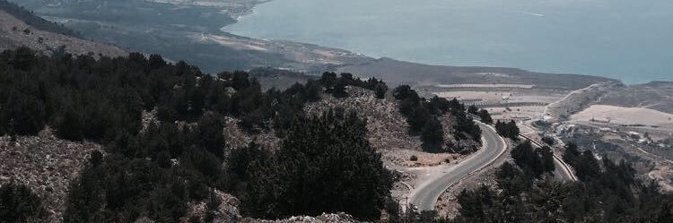 Harry Hardwick banner