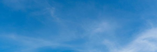 rosie_squish Profile Banner