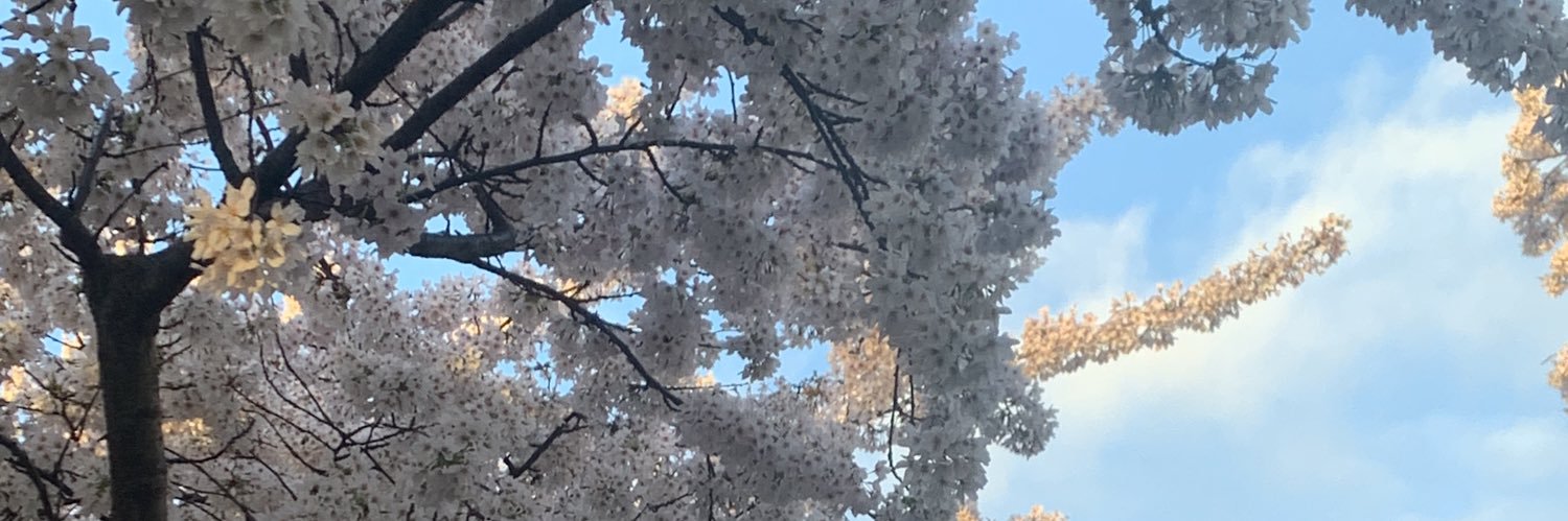 1okayju's profile banner image