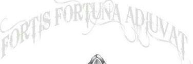 MidianRafa's profile banner image
