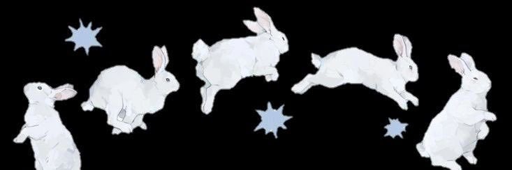 Bunny ˚⊱❀⊰˚ banner
