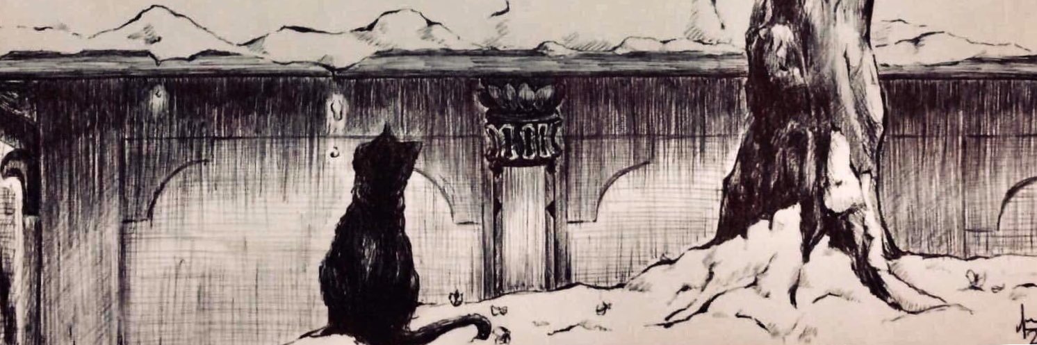 altraes's profile banner image
