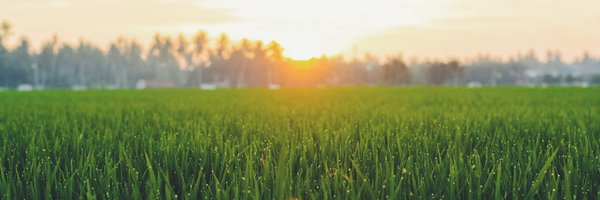 la_ccl Profile Banner