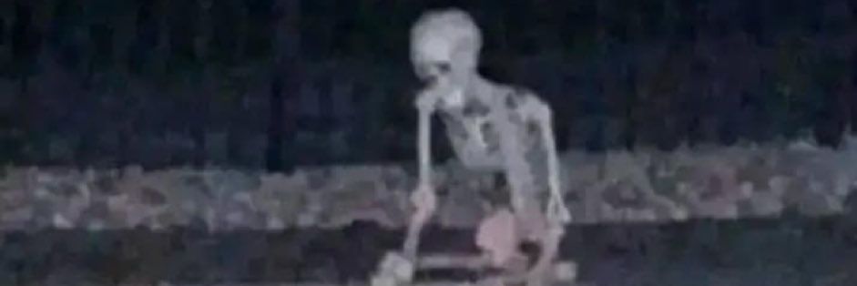 trash_kick_'s profile banner image