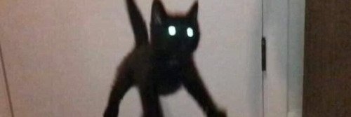 CosmicSpice's profile banner image