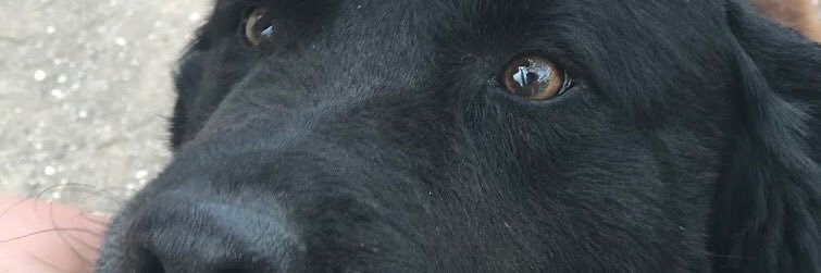 trippyhugoo's profile banner image