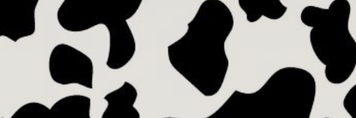 JaedynPesek's profile banner image