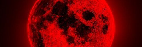 Rose45879366's profile banner image