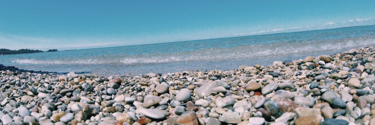 annagarofaloo's profile banner image