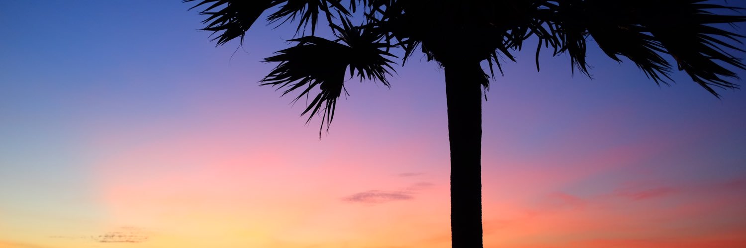 Gummo0428's profile banner image